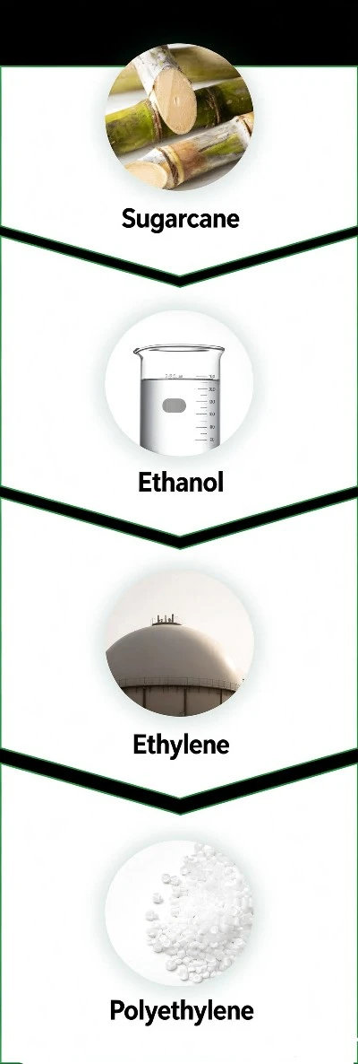 Production Process of Green PE Production Process of Green PE